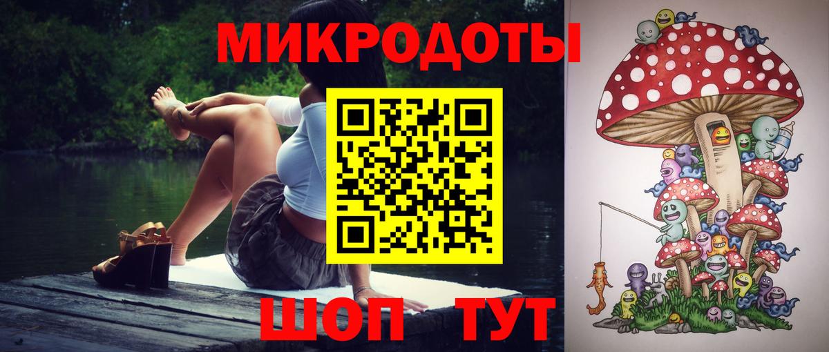 Псилоцибиновые грибы Psilocybine cubensis Рубцовск