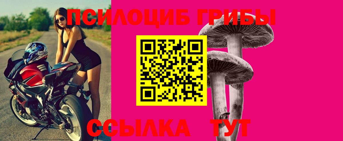 Галлюциногенные грибы Psilocybe  Вход с VPN  Галлюциногенные грибы ЛСД  Рубцовск 
